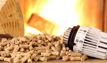 Jak przechowywać pellet? Jeden błąd robi z niego mokrą papkę!