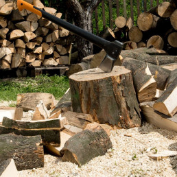 Jakie drewno do kominka pali się najlepiej? Wilgotność jest ważniejsza niż gatunek