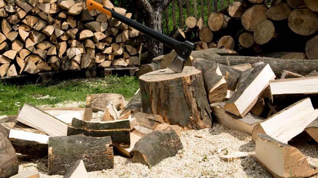 Jakie drewno do kominka pali się najlepiej? Wilgotność jest ważniejsza niż gatunek