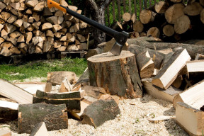 Jakie drewno do kominka pali się najlepiej? Wilgotność jest ważniejsza niż gatunek