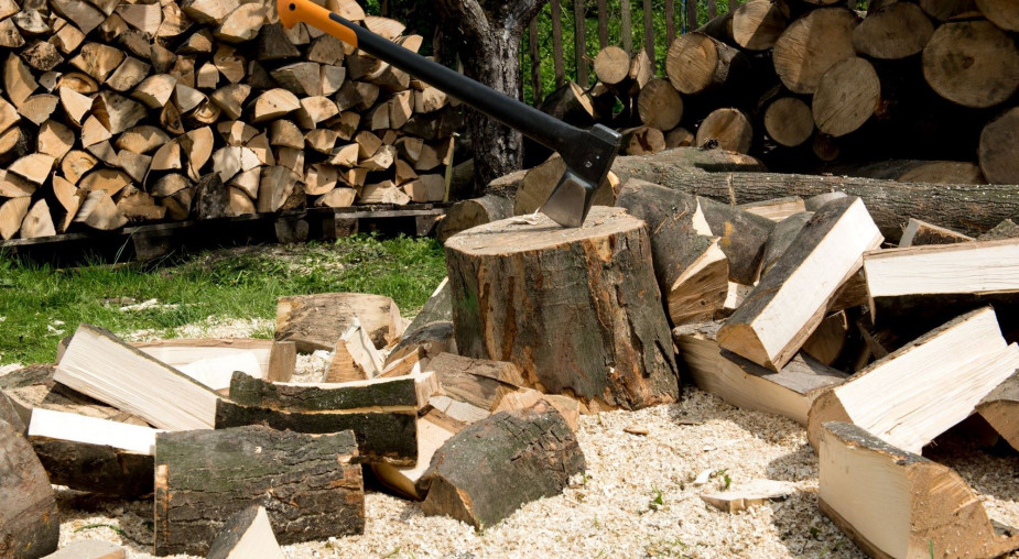 Jakie drewno do kominka pali się najlepiej? Wilgotność jest ważniejsza niż gatunek