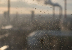 Jakie są normy zanieczyszczeń powietrza wg WHO i polskich norm?