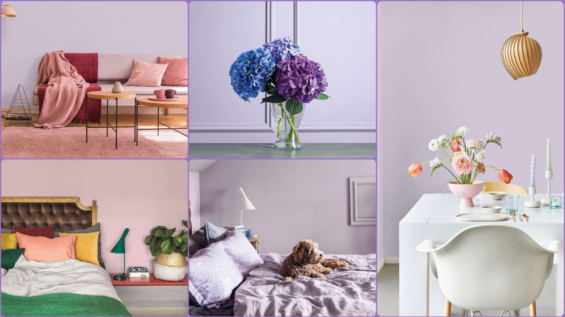 Fiolet we wnętrzach: ametystowa lekkość, kontrasty i modny color drenching