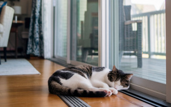 Współczynnik U okien: co oznacza i dlaczego im niższy, tym lepiej?