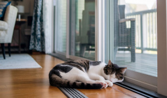 Rewolucja w modernizacji: Jak wymienić stary domofon na wideodomofon bez wymiany kabli?