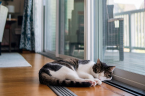 Współczynnik U okien: co oznacza i dlaczego im niższy, tym lepiej?