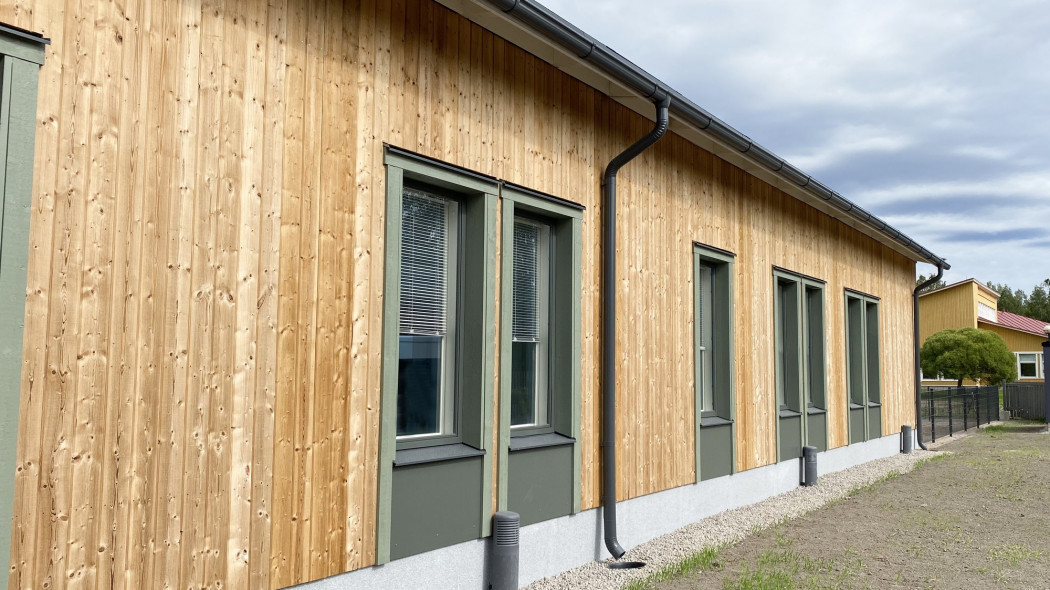 Jakie drewno na elewację? Wybierz gatunek, który przetrwa lata