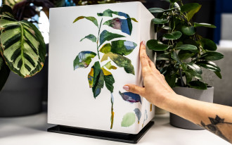 Wyjątkowy, ręcznie malowany nawilżacz Noah od Stadler Form trafił na aukcję 34. Finału WOŚP