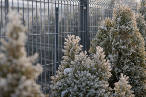 Ogrodzenie 2D czy 3D? Ta jedna różnica decyduje o trwałości na lata
