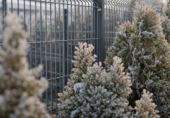 Ogrodzenie 2D czy 3D? Ta jedna różnica decyduje o trwałości na lata