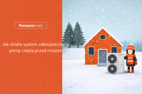 Ukryta praca systemu: Co dzieje się w pompie ciepła podczas mrozów?