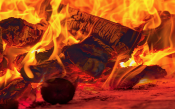 CGF PRO: Innowacyjne zgazowanie drewna, które redefiniuje pojęcie taniego ogrzewania