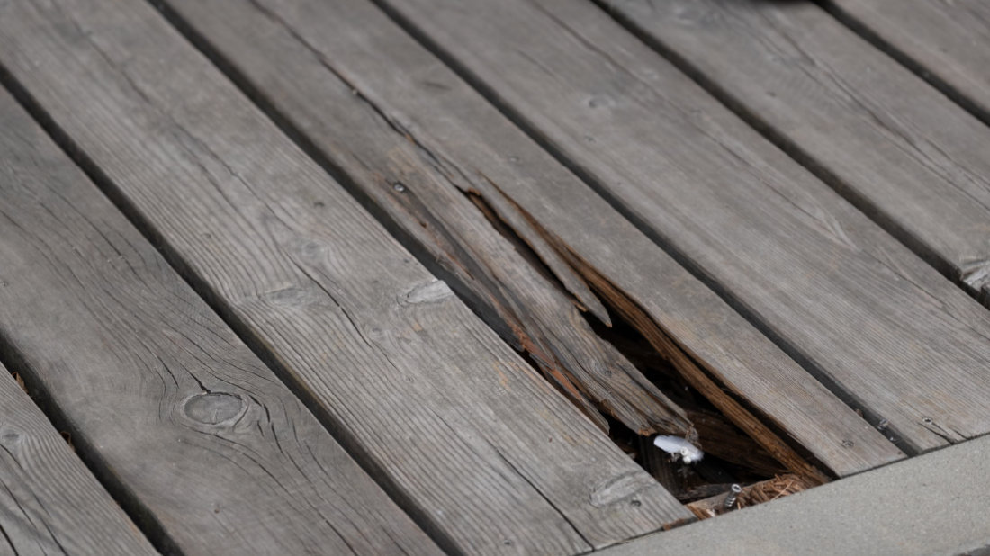 Czy można zapobiec pękaniu czoła desek tarasowych?