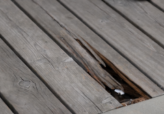 Czy można zapobiec pękaniu czoła desek tarasowych?