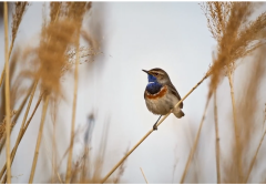Kömmerling - 125 lat tradycji dla lepszego jutra