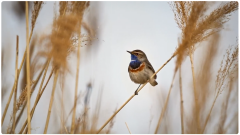 Kömmerling - 125 lat tradycji dla lepszego jutra