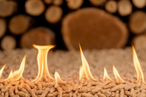 Ceny pelletu w styczniu 2026: Niewielkie podwyżki na starcie roku i co to oznacza dla kupujących?