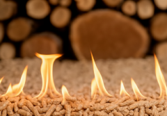 Ceny pelletu w styczniu 2026: Niewielkie podwyżki na starcie roku i co to oznacza dla kupujących?