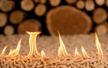 Ceny pelletu w styczniu 2026: Niewielkie podwyżki na starcie roku i co to oznacza dla kupujących?