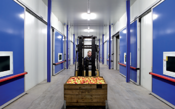 Szczelność bram w mroźniach i chłodniach - klucz do temperatury, higieny i oszczędności energii