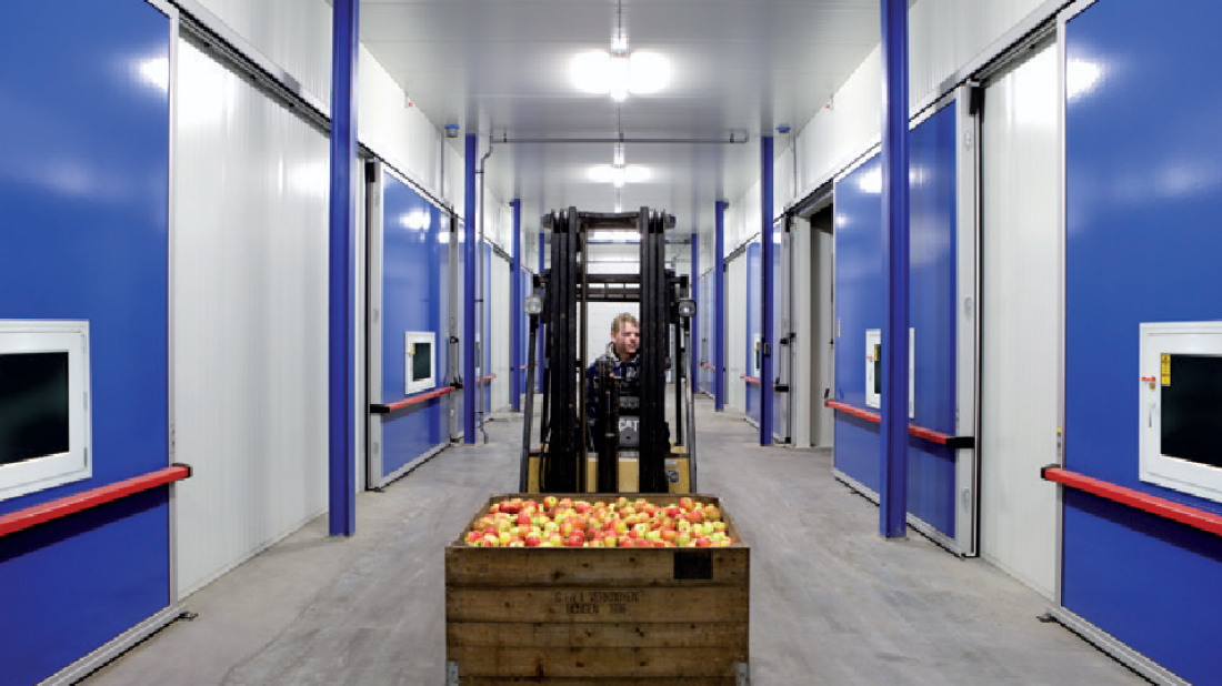 Szczelność bram w mroźniach i chłodniach - klucz do temperatury, higieny i oszczędności energii