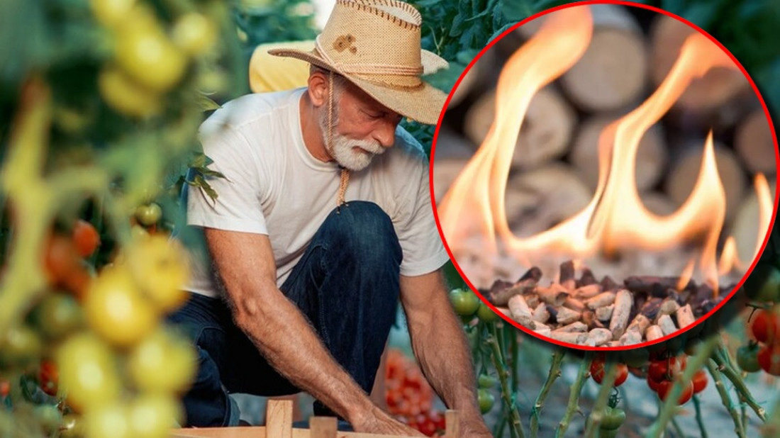 Czy popiół z pelletu nadaje się na nawóz do ogrodu?