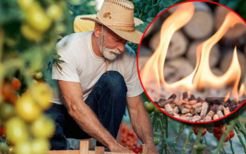 Czy popiół z pelletu nadaje się na nawóz do ogrodu?