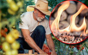 Czy popiół z pelletu nadaje się na nawóz do ogrodu?