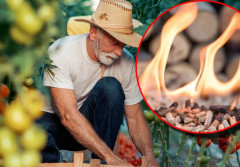 Czy popiół z pelletu nadaje się na nawóz do ogrodu?