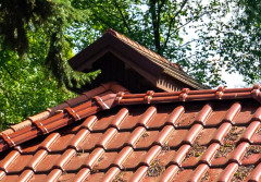 Mech, glony i porosty na dachu – jak chronić dachówki zimą?