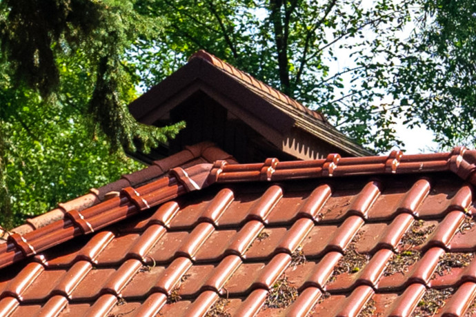 Mech, glony i porosty na dachu – jak chronić dachówki zimą?