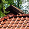 Mech, glony i porosty na dachu – jak chronić dachówki zimą?