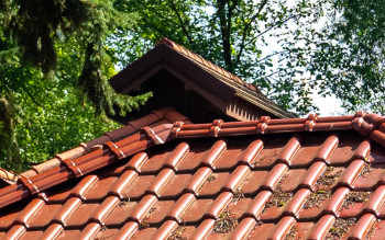 Mech, glony i porosty na dachu – jak chronić dachówki zimą?