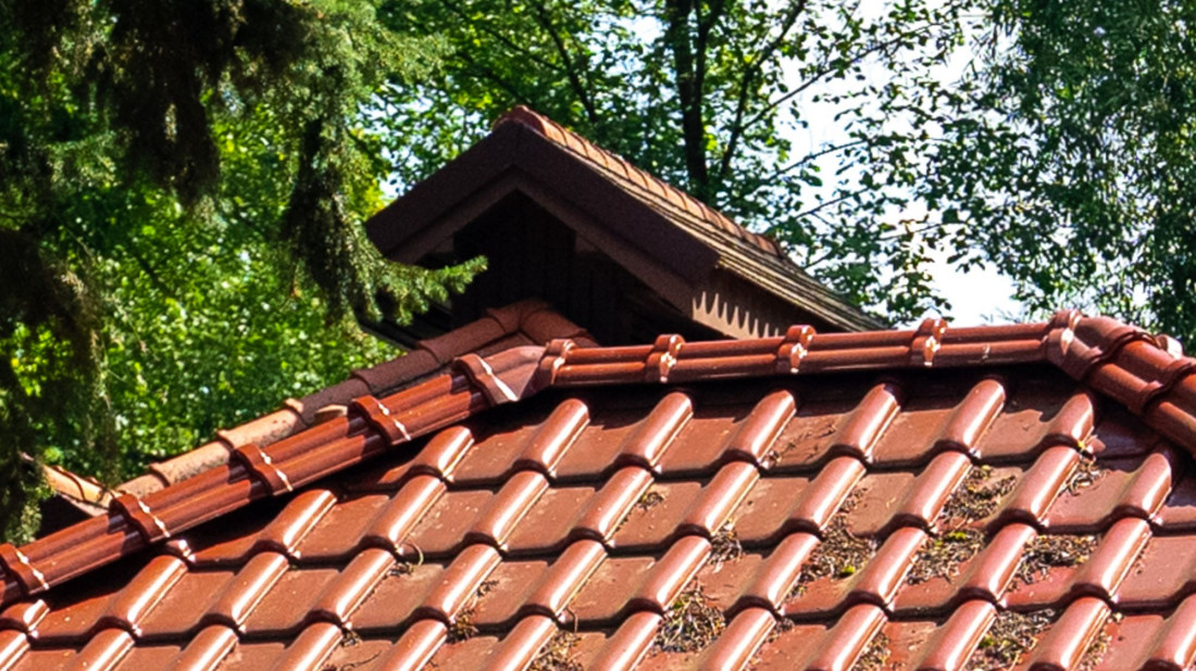 Mech, glony i porosty na dachu – jak chronić dachówki zimą?