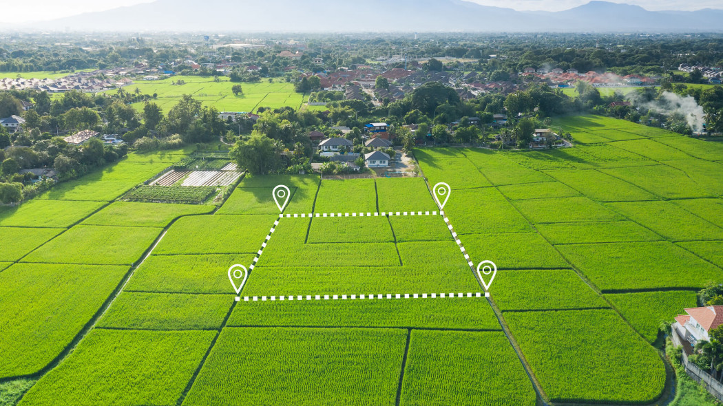 Idealna działka budowlana nie istnieje. Jak wybrać i nie wkopać się w drogi grunt?
