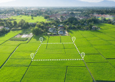 Idealna działka budowlana nie istnieje. Jak wybrać i nie wkopać się w drogi grunt?