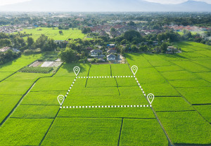 Idealna działka budowlana nie istnieje. Jak wybrać i nie wkopać się w drogi grunt?