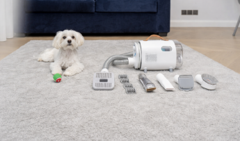 FungiStop: Profesjonalna tarcza przeciwko pleśni i grzybom w Twoim domu