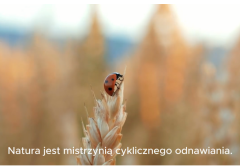 Kömmerling ReFrame: Rewolucja w recyklingu okien PVC