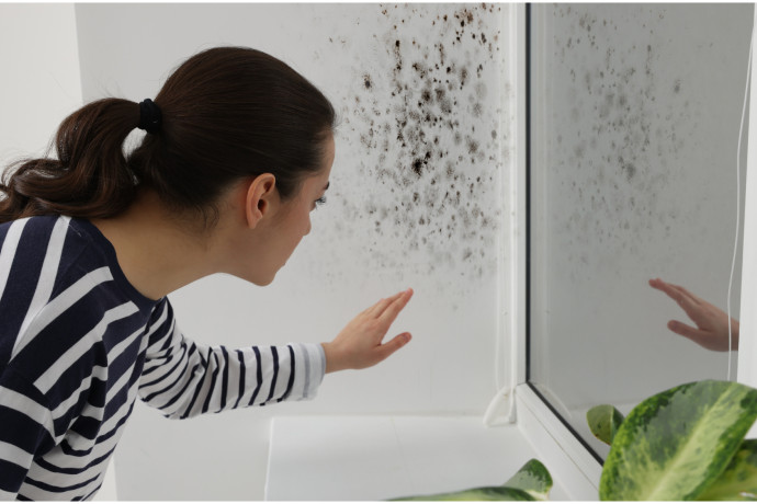 Pleśń w domu. Skąd się bierze i co robi z Twoim zdrowiem?