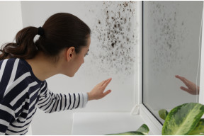 Pleśń w domu. Skąd się bierze i co robi z Twoim zdrowiem?