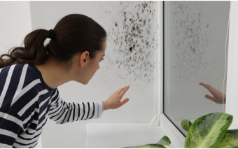 Pleśń w domu. Skąd się bierze i co robi z Twoim zdrowiem?