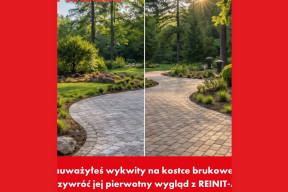 Mech i algi na kostce brukowej? Tak przywrócisz nawierzchni czysty wygląd