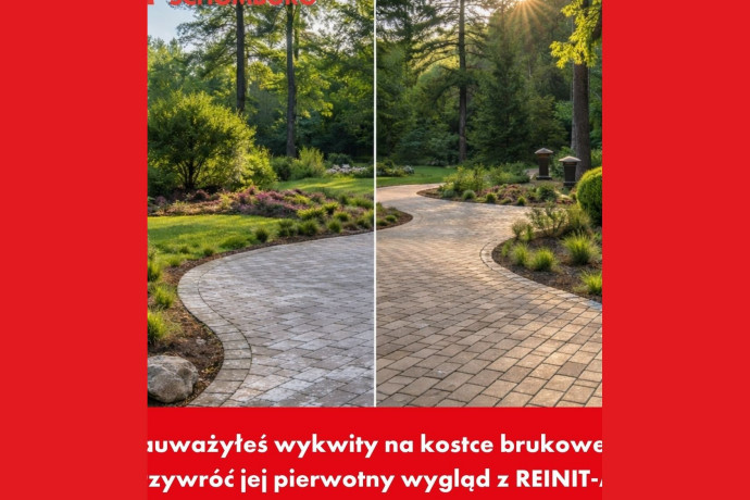 Mech i algi na kostce brukowej? Tak przywrócisz nawierzchni czysty wygląd