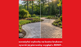 Malowanie mebli w duchu zero waste. Jak odnowić drewno i metal niewielkim kosztem?