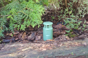 Czysta woda dzięki naturze: Jak system Green Shower filtruje wodę w glebie?