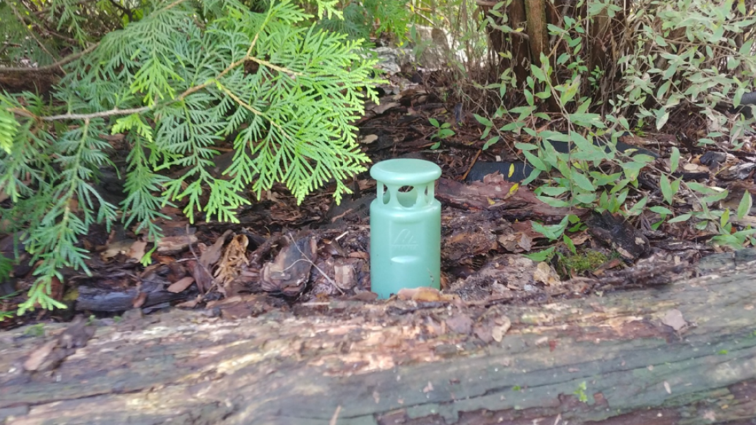 Czysta woda dzięki naturze: Jak system Green Shower filtruje wodę w glebie?