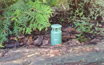 Czysta woda dzięki naturze: Jak system Green Shower filtruje wodę w glebie?