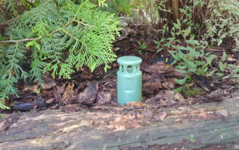 Czysta woda dzięki naturze: Jak system Green Shower filtruje wodę w glebie?