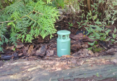 Czysta woda dzięki naturze: Jak system Green Shower filtruje wodę w glebie?